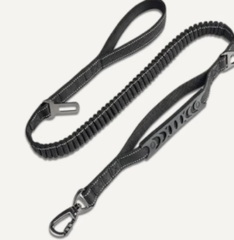 Bungee Leash