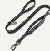 Bungee Leash